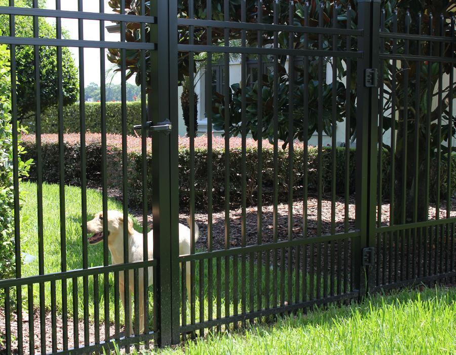 6' Aluminum Ornamental Single Swing Gate - Spear Top Series B - No Arch